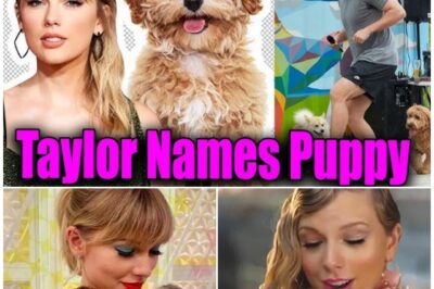 Taylor Swift Drives Fans Crazy By Naming Travis Kelce’ New Puppy ‘Ivy’
