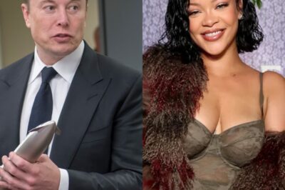 “Rihanna pays a heavy price: $20 million and career on the brink after ‘insulting’ statement about Elon Musk!”