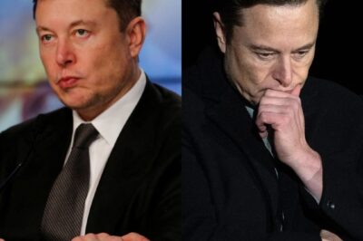 Tesla’s Sales Plunge by $100 Billion Amidst Political Backlash, Fierce Competition, and Brand Crisis: Musk Faces Unprecedented Turmoil